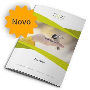Caderno Pássaros